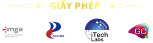 giay-phep